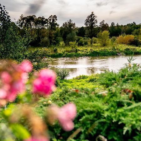 Holistyczne Ujecie Bed and Breakfast Kobyla Εξωτερικό φωτογραφία