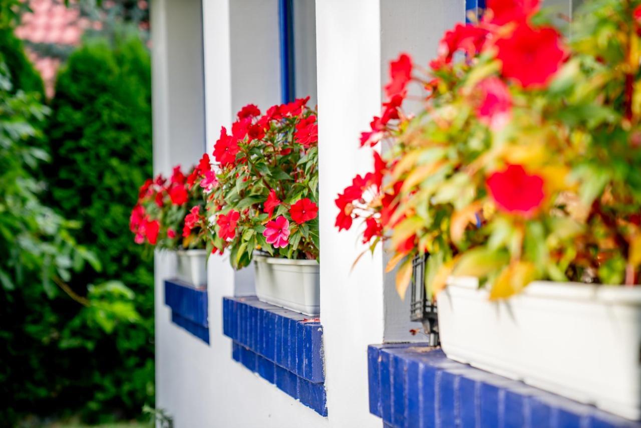 Holistyczne Ujecie Bed and Breakfast Kobyla Εξωτερικό φωτογραφία
